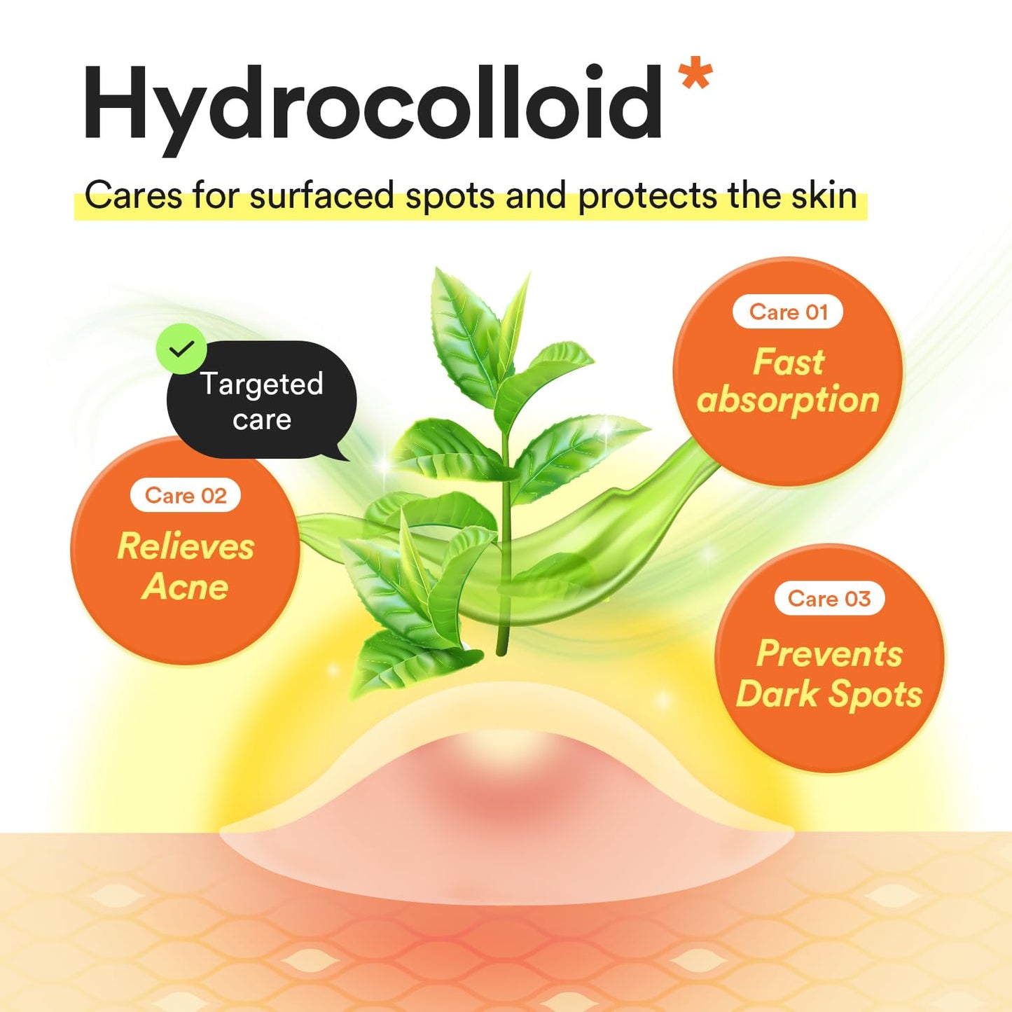 Abib Heartleaf Calming Spot Patch 2 Sizes 78 Patches, Waterproof Pimple Patches for Face, Invisible, Ultra-Adherent & Fast-Soothing Zit Care (10mm*48pcs / 12mm*30pcs)